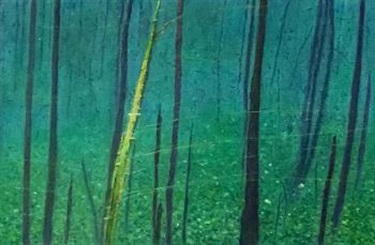 Acrylic on Blue Lake Paper